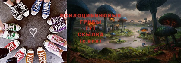 прущий лед Алексин