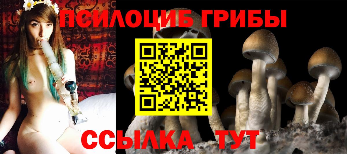 Псилоцибиновые грибы MAGIC MUSHROOMS  Вход с VPN  что такое наркотик  Глазов 